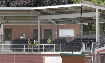 Waseca ballpark rises from the ashes